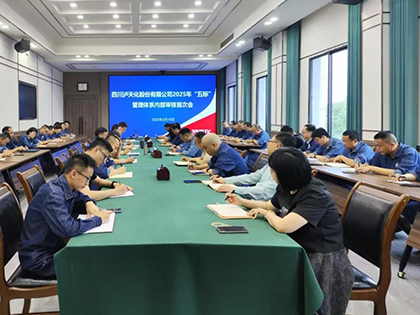 乐动LDSports股份公司开展管理体系内审工作
